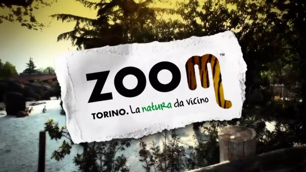 Logo Zoom